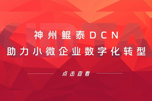 PT电子DCN助力小微企业数字化转型